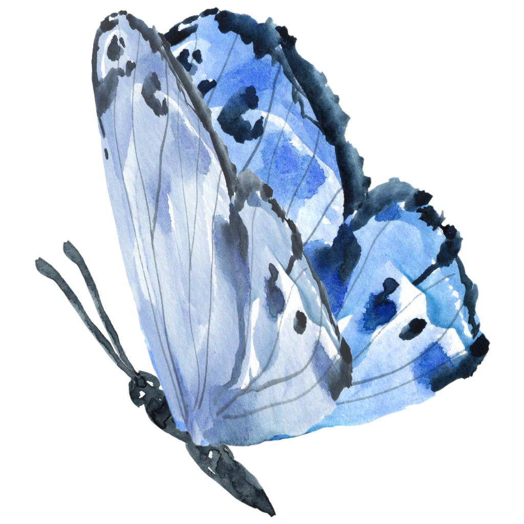 watercolor butterfly icon